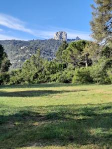 Appartements Studios independants dans grand Domaine en pleine nature : photos des chambres