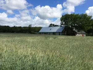 Flickebäck - Magnarp