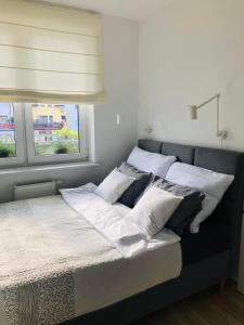 Apartament przy Parku Zdrojowym