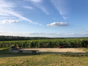 Maisons de vacances Au Coeur des Vignes : photos des chambres