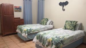 Hooked on 6 Fish Eagles