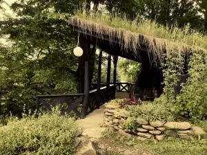 Ostoja nad potokiem Dwernik - Lutowiska