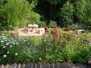 Brecon Boutique Breaks Wild Land