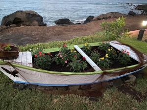 Apartamentos El Guirre