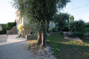 Appartements Studio independant dans mas provencal : photos des chambres