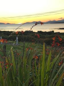 The Stable Self Catering Cottage @ Cappa House BnB