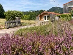 Le Chalet dans la Nature - Taintrux