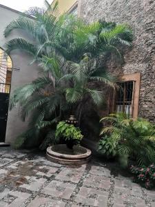 Lele Room Downtown Querétaro