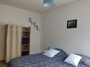Appartements Location MarjoRI - T3 Le Kakariki : photos des chambres