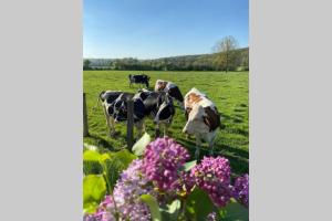 Maisons de vacances Les Dependances : photos des chambres