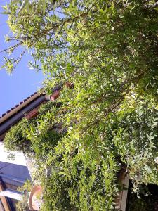 La Citadelle photo 9