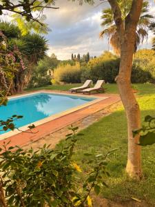 Natura & Relax Ficus