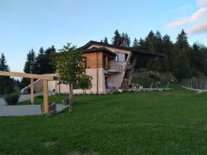 Vila Costin Fundata - Fundatica