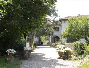 Mulinoantico