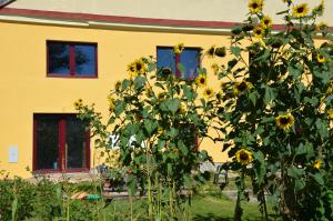 Apartmán Nad potokem