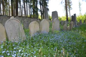 Apartmán Nad potokem