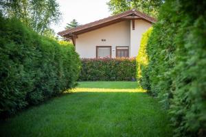 Pandora Zsóry Apartmanok Mezőkövesd