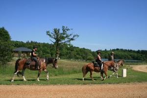 Hotels Vacanceole - Le Domaine des Monedieres : photos des chambres