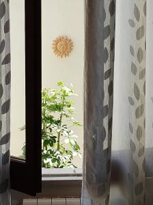 Casa Ninetta