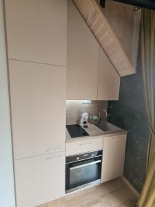 Čiki puki apartamentai Pienės pūkas