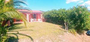 Il mirto e l'oleandro img36