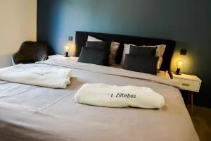 ‘t Ziltebos - Вендуин