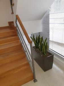 Altavista Penthouse T2