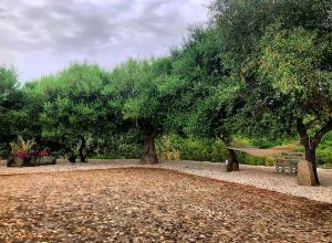 B&B Casa Vacanza Centro Sardegna img29