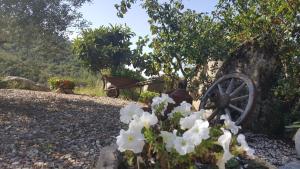 B&B Casa Vacanza Centro Sardegna img37