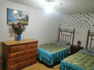 Escocie Quito Colonial