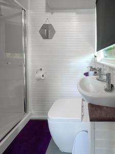 Shepherds hut Bath