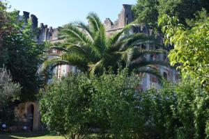 B&B / Chambres d'hotes La Tuilerie 1860 : Chambre Double - Vue sur Jardin