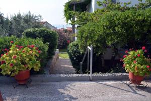 Akti Hotel & Apartments Lesvos Greece