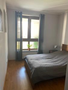 Apartament Błyskawica