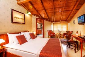 Standard Double or Twin Room room in Hotel Erguvan - Special Category