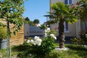 Appartements Residence Alassa : photos des chambres