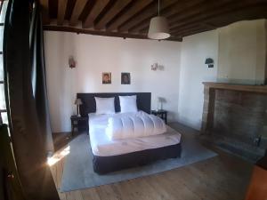 Maisons d'hotes Suite 1 - Les Grands Degres Saint Louis : photos des chambres