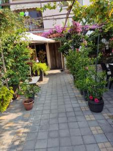 Dalmati house 