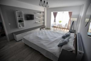 Apartament Serban