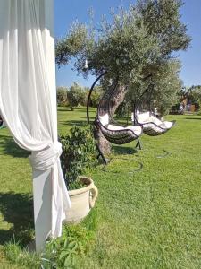 Domus Antiga Appartamenti img33