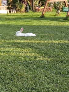 Domus Antiga Appartamenti img32