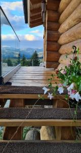 CABANA CEITREI - MOUNTAIN VIEW GIUMALAU