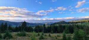 CABANA CEITREI - MOUNTAIN VIEW GIUMALAU