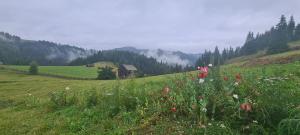 CABANA CEITREI - MOUNTAIN VIEW GIUMALAU