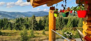 CABANA CEITREI - MOUNTAIN VIEW GIUMALAU