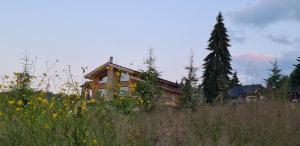 CABANA CEITREI - MOUNTAIN VIEW GIUMALAU