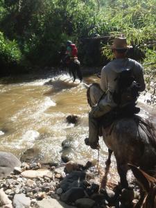 Hostel Casa de Nelly