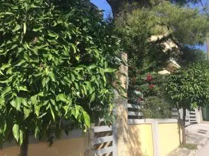 ELIAS APARTMENT - Pendéli