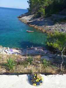 Modern Robinson Veli Bare