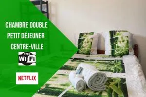 Le Carbet du Centre-Ville - CLIM-CENTRE-VILLE-WIFI-PARKING-NETFLIX - Les Malgaches